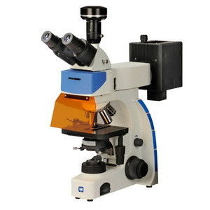 Digital Trinocular Fluorescence Microscope LF-302