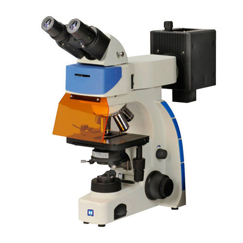 Binocular Upright Fluorescence Microscope LF-202